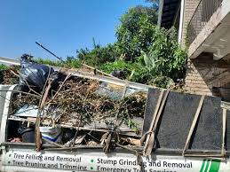 Trusted Tonto Basin, AZ Junk Removal Services Experts